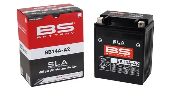 מצבר ג'ל (SLA) BS BATTERY BB14A-A2 12V 14Ah – תמונה 2