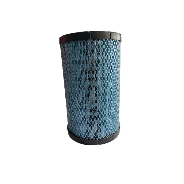 מסנן אוויר מקורי POLARIS ל-RZR Pro R 2022-2026
